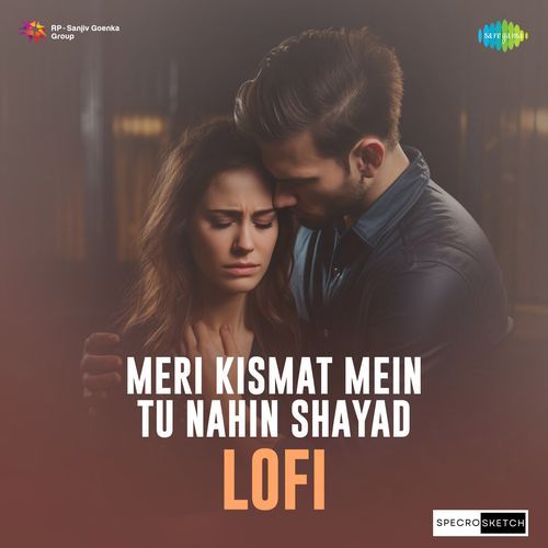 Meri Kismat Mein Tu Nahin Shayad - Lofi