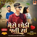 Mese Chhodi Jati Rai Full Track Part 1