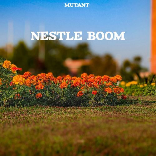 Nestle Boom
