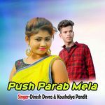 Push Parab Mela