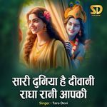 Sari Duniya Hai Deewani Radha Rani Aapki artwork