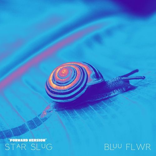 Star Slug (Forward Version) cover art