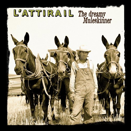 The Dreamy Muleskinner cover art
