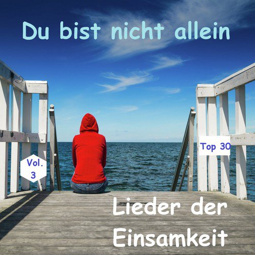 Top 30: Du bist nicht allein - Lieder der Einsamkeit, Vol. 3