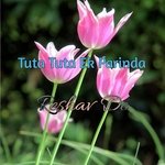 Tuta Tuta Ek Parinda