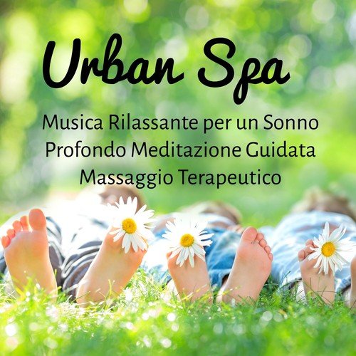 Buddha Zen Spa cover art