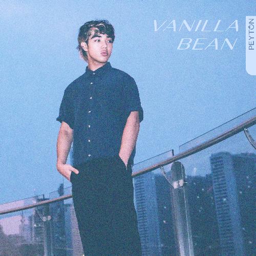 Vanilla Bean_poster_image