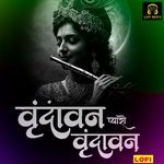 Vrindava Pyaro Vrindavan LOFI