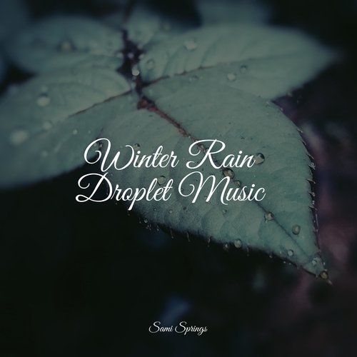 Winter Rain Droplet Music_poster_image