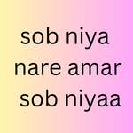 sob niya nare amar sob niyaa