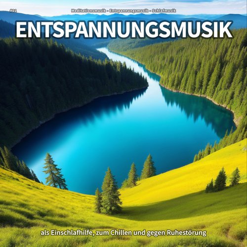 #01 Entspannungsmusik als Einschlafhilfe, zum Chillen und gegen Ruhestörung_poster_image