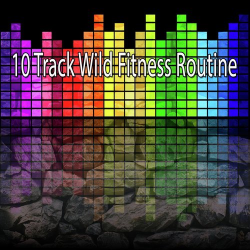 10 Track Wild Fitness Routine