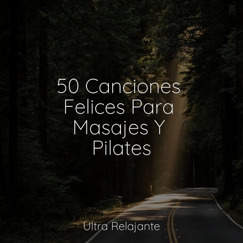 50 Canciones Felices Para Masajes Y Pilates