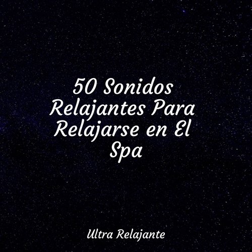 50 Sonidos Relajantes Para Relajarse en El Spa