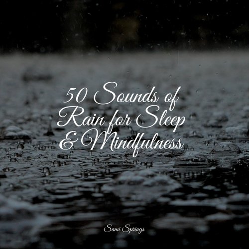 50 Sounds of Rain for Sleep &amp; Mindfulness_poster_image