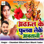 Adhaul Ke Phoolwa Leke Aawatani Na