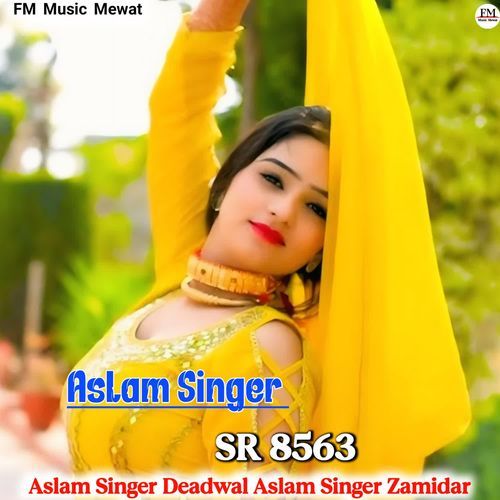 Aslam Singer SR 8563