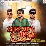 Baar Gaj Nu Gaju (Chillout Mix)