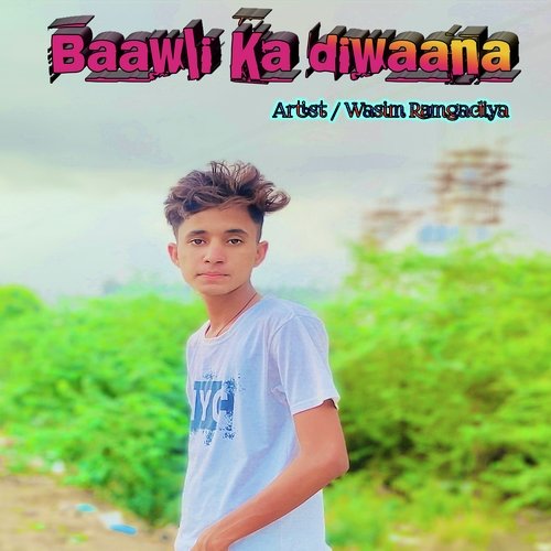 Baawli Ka Diwaana