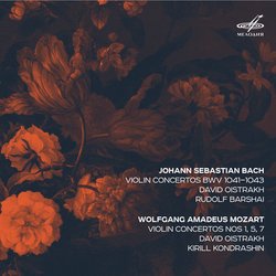 Violin Concerto No. 2 in E Major, BWV 1042: I. Allegro