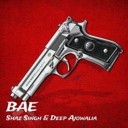 Bae-FhxSQEdpZHE