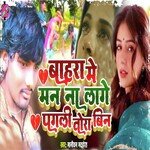 Bahara Me Man Na Lage Pagli Tora Bin