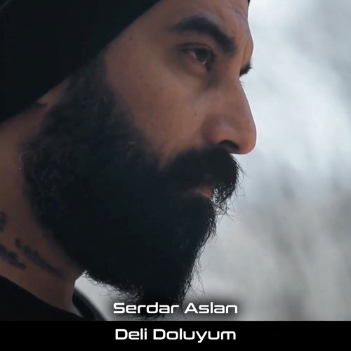 Deli Doluyum_poster_image