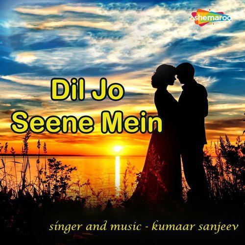 Dil Jo Seene Mein