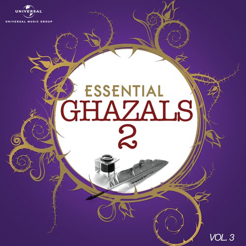 Ab Kya Ghazal Sunaoon (Album Version)