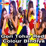 Gori Tohar Red Colour Bindiya