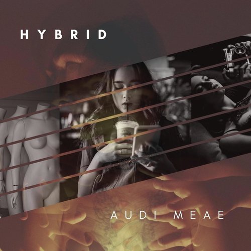 Hybrid cover art