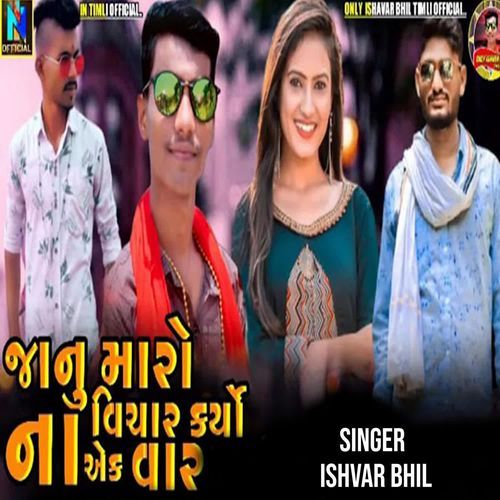 Janu Mari Jodi Pardesh Ma