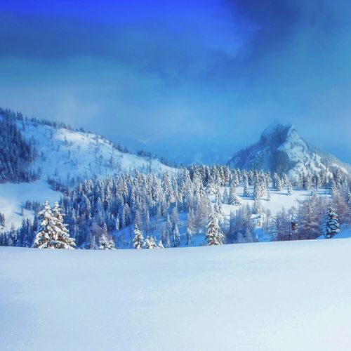 Joyful Xmas 2019 Instant Holiday Bliss Sessions