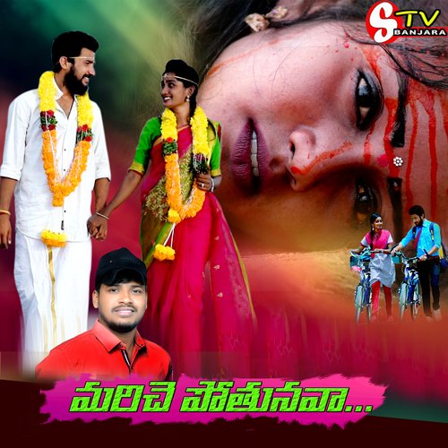 MARICHEPOTHUNAVA LOVE EMOTINAL SONG STV