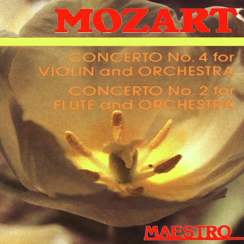 Flute Concerto No. 2 in D Major, K. 314: I. Allegro aperto