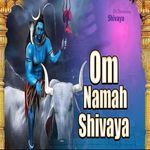 Om Namah Shivaya