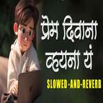 Prem Diwana Vahina Ye (Slowed And Reverb)