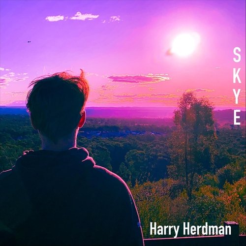 Skye (Remix) cover art
