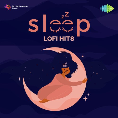 Sleep Lofi Hits_poster_image