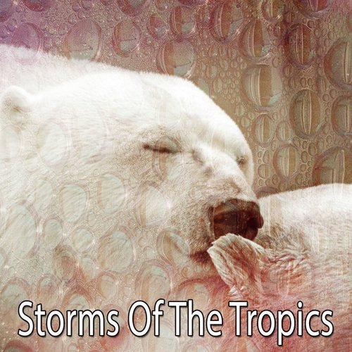 Storms Of The Tropics