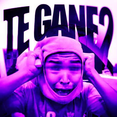 TE GANE, Vol. 2_poster_image