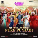 Too Much... Too Much Pure Punjabi (From &quot;Gabru Gang&quot;)