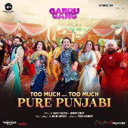 Too Much... Too Much Pure Punjabi (From &quot;Gabru Gang&quot;)-QxoReyJABEk