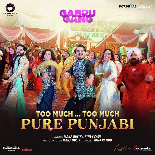 Too Much... Too Much Pure Punjabi (From "Gabru Gang")