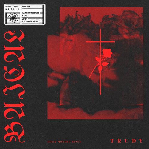 Trudy (Bleib Modern Remix) cover art