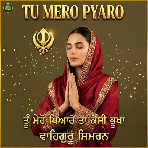 Tu Mero Pyaro