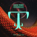 Wormhole