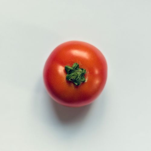 고백