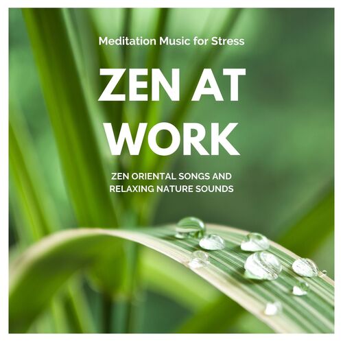 Zen at Work: Meditation Music for Stress, Zen Oriental Songs and Relaxing Nature Sounds_poster_image