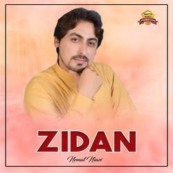 Zidan-FVoYCCZncQA